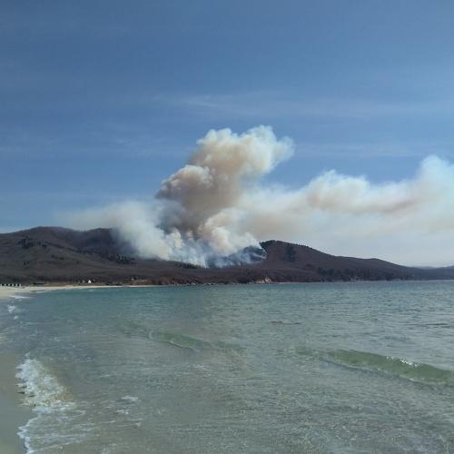 Photo #4876565
