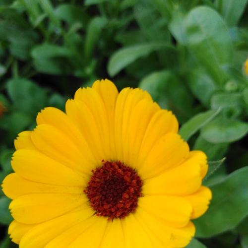 Photo #4877078