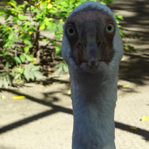 Photo #4877192