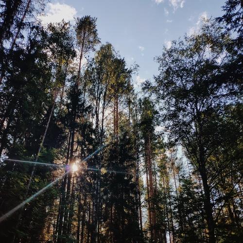 Photo #4877385