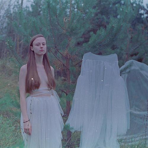 Photo #4877395