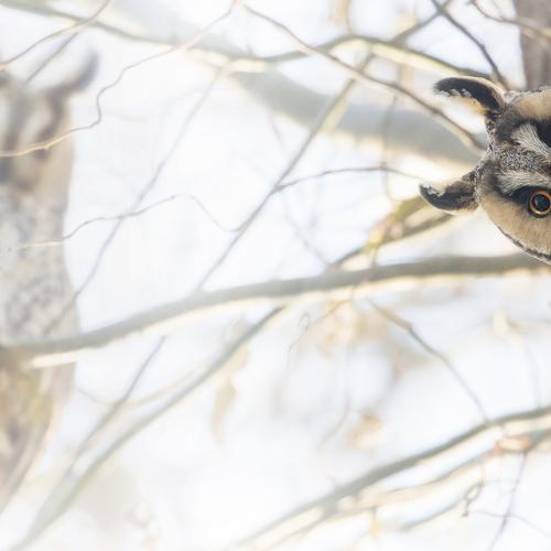 Photo #4877464