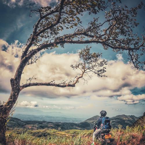 The lone rider