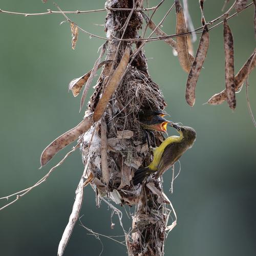 Photo #4878320