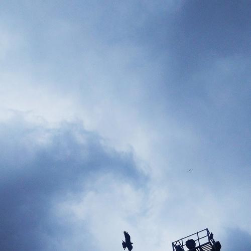 Photo #4878602