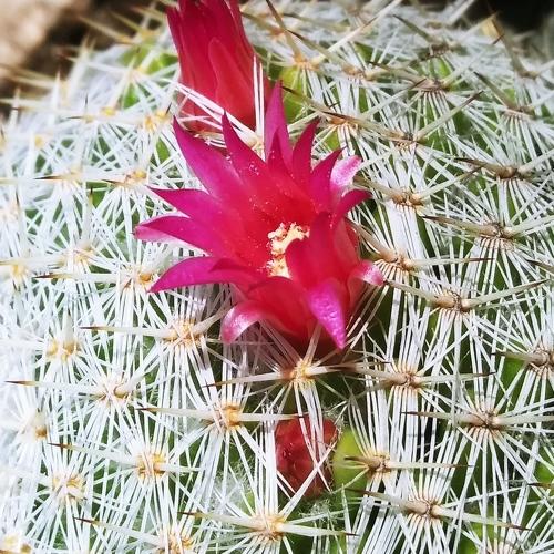 Photo #4878626