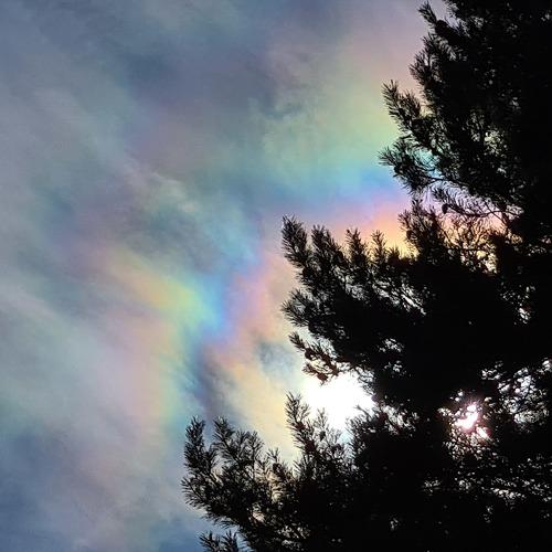 Photo #4878699