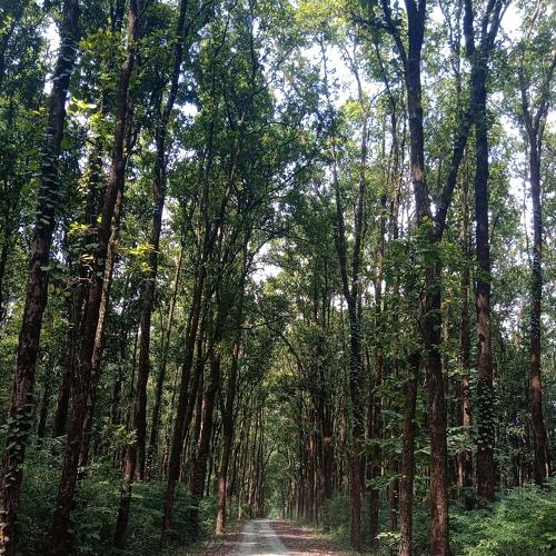 Photo #4878717