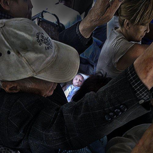 Photo #4878824