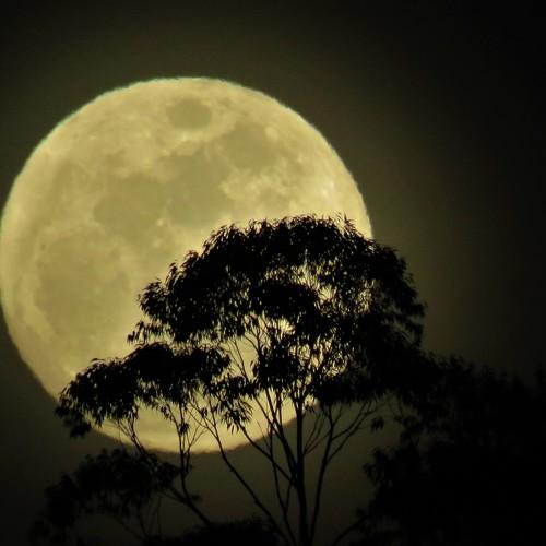 Photo #4878857