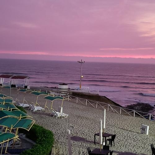 Photo #4878964
