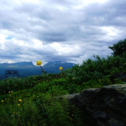 Photo #4879311