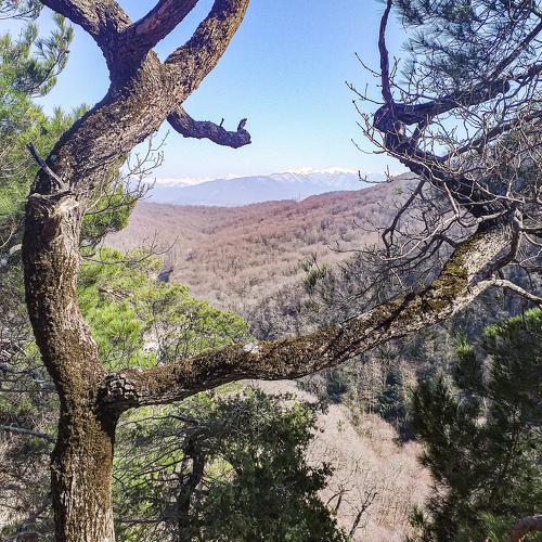 Photo #4879316
