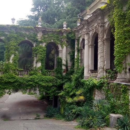 Photo #4880195