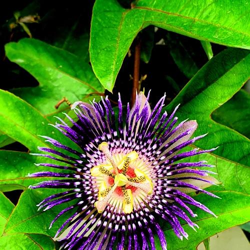 Photo #4880749