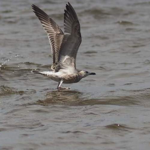 Photo #4881046