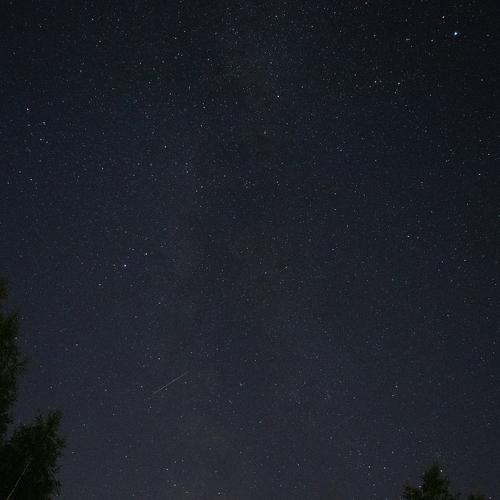 Photo #4881354