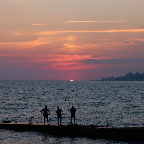Photo #4881404