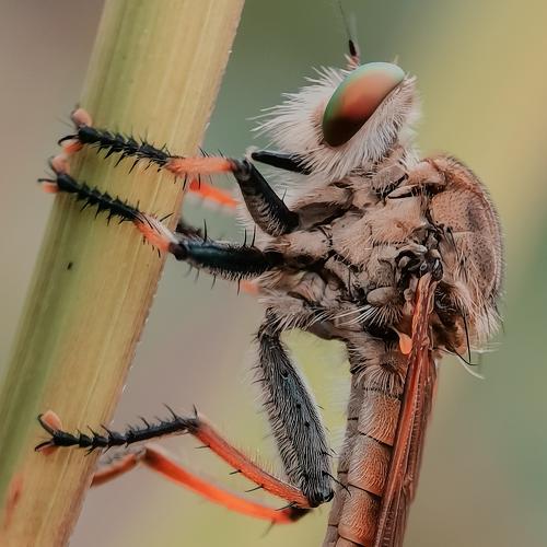 Photo #4881528