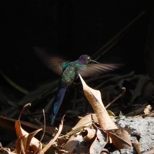 Photo #4881847