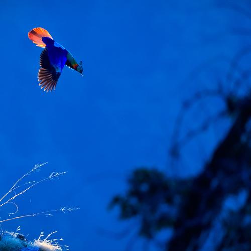 Photo #4881893