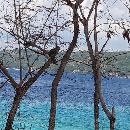 Shades of Blue