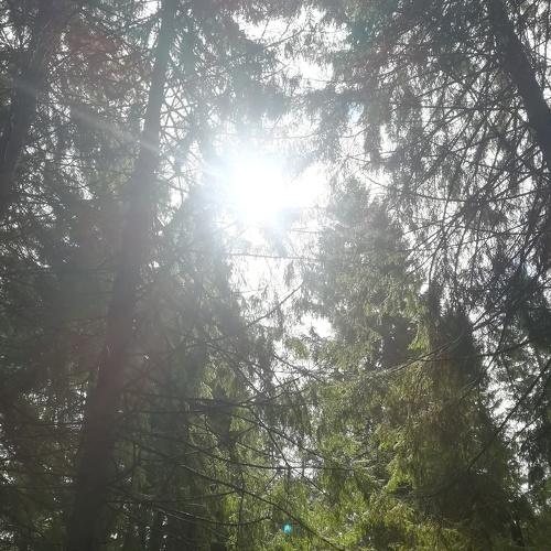 Photo #4882049