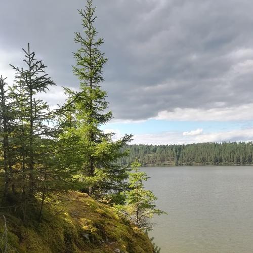 Photo #4882050