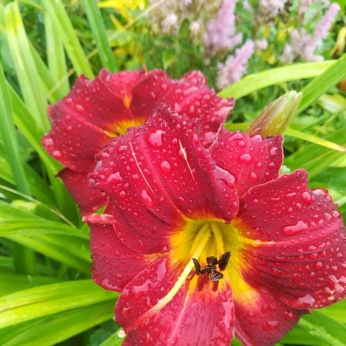 Photo #4882093