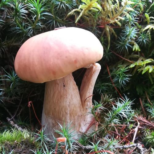 Photo #4882195