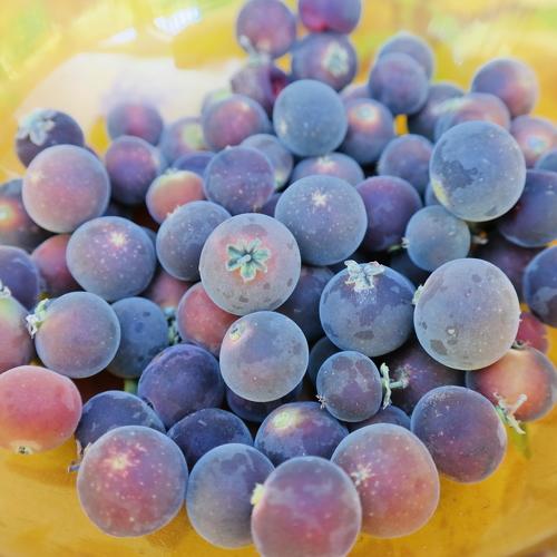 Photo #4882555