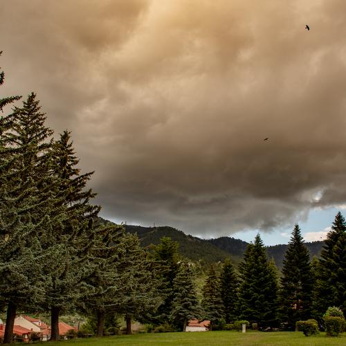 Photo #4882585