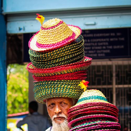 Colour of life