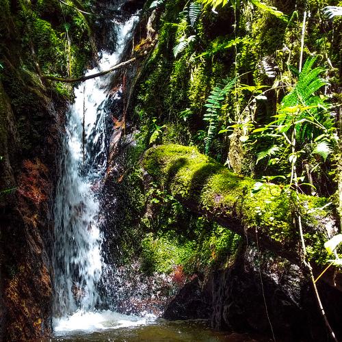 Photo #4883045