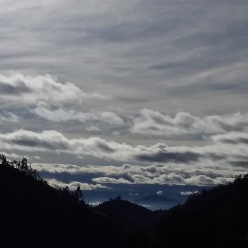Photo #4883076