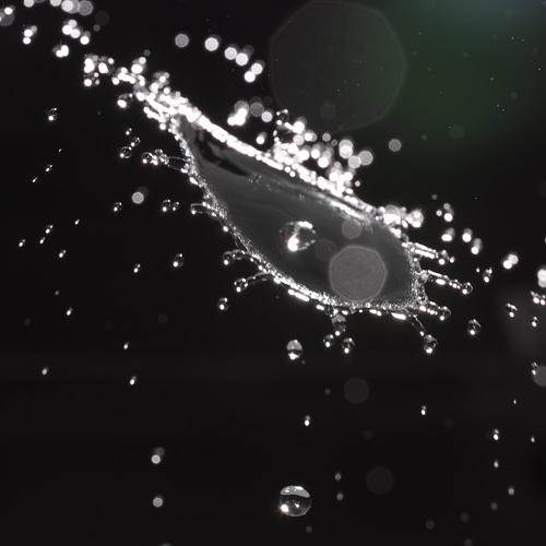 Photo #4883188