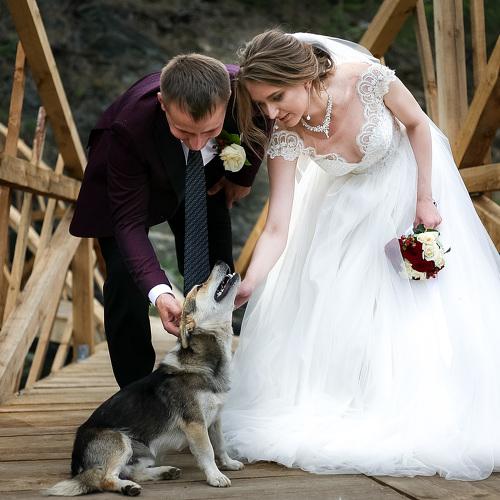 Photo #4883230