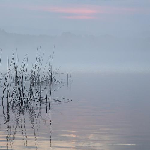 Photo #4883293