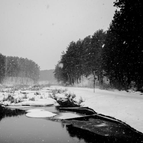 Photo #4883462