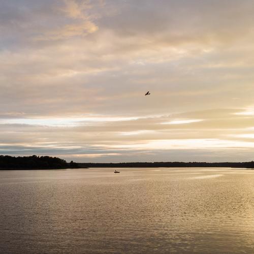 Photo #4883606