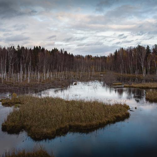 Photo #4883634
