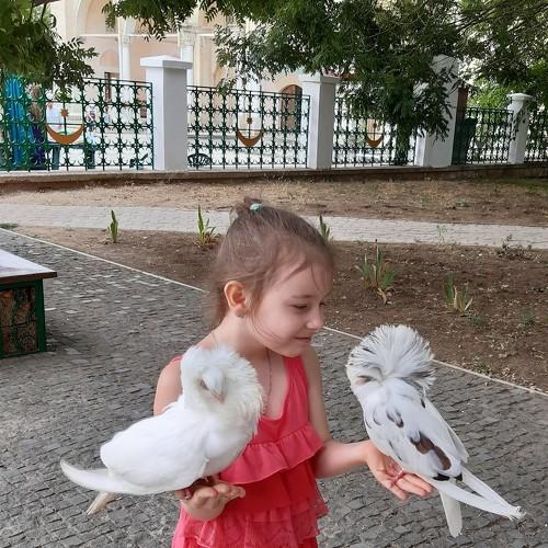 Photo #4883970