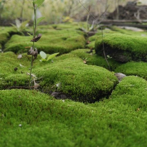 Photo #4884284