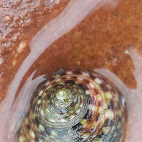 Photo #4884780