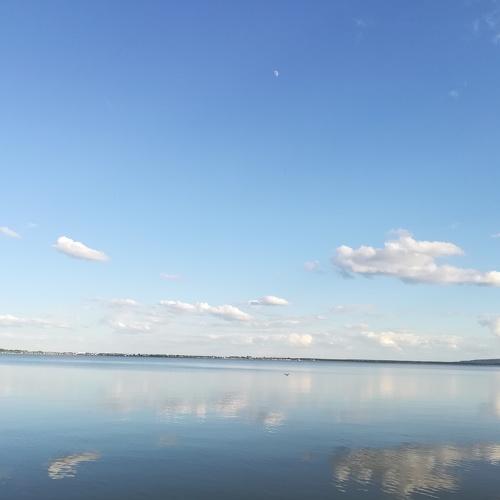Photo #4884785