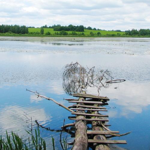 Photo #4884830