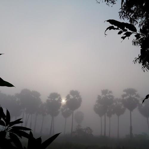 Photo #4884932