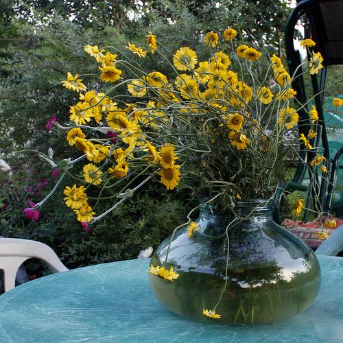 Photo #4885262