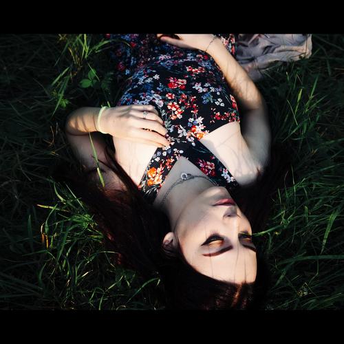 Photo #4885588