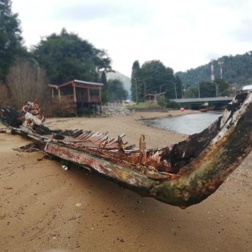 Photo #4885694